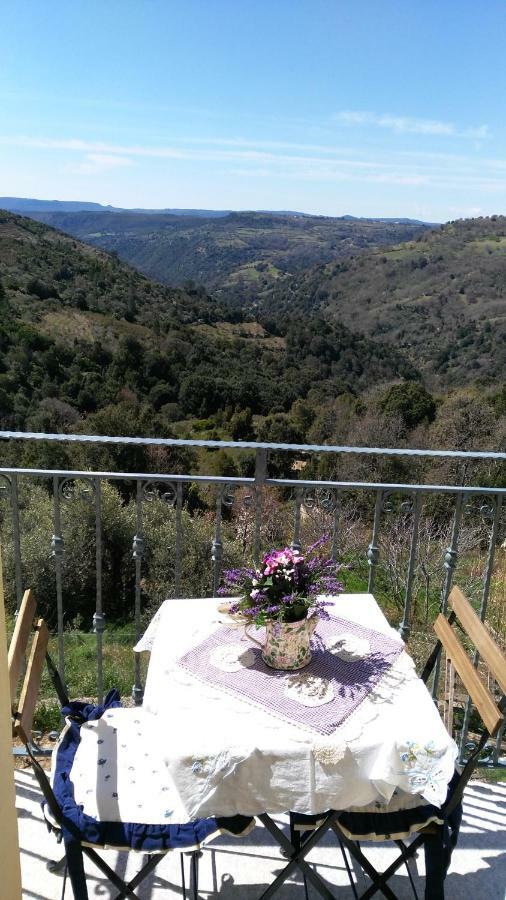 Stellaria Casa Vacanze In Montagna Panorama Stupendo Sardegna Seulo Exterior photo
